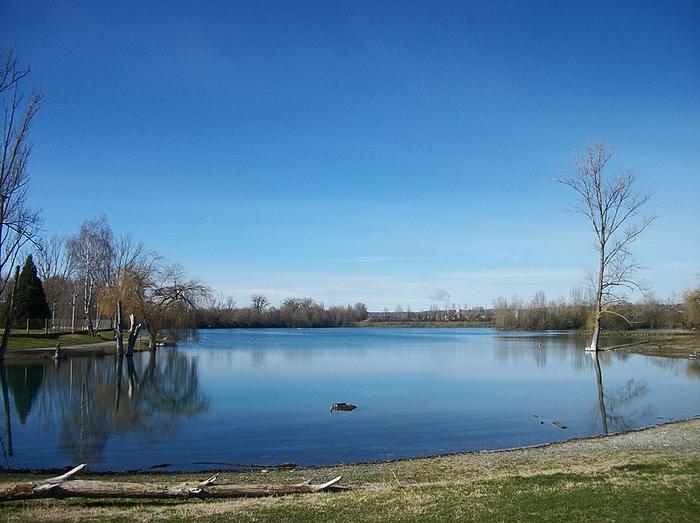 saint-gaudens/immobilier/CENTURY21 Pyrénées Immo/la nature au lac de Sède