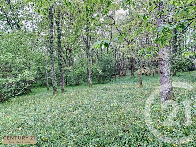 maison à vendre - 5 pièces - 107.4 m2 - MONTMAURIN - 31 - MIDI-PYRENEES - Century 21 Pyrénées Immo maison à vendre - 5 pièces - 107.4 m2 - MONTMAURIN - 31 - MIDI-PYRENEES - Century 21 Pyrénées Immo