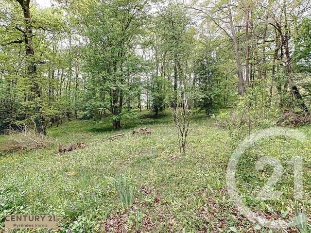 maison à vendre - 5 pièces - 107.4 m2 - MONTMAURIN - 31 - MIDI-PYRENEES - Century 21 Pyrénées Immo maison à vendre - 5 pièces - 107.4 m2 - MONTMAURIN - 31 - MIDI-PYRENEES - Century 21 Pyrénées Immo