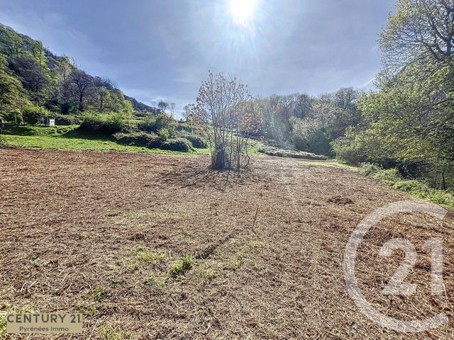 terrain à vendre - 2262.0 m2 - CIERP GAUD - 31 - MIDI-PYRENEES - Century 21 Pyrénées Immo