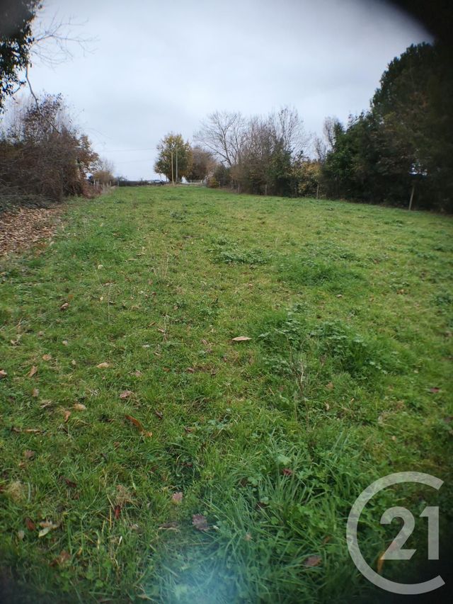 Afficher la photo en grand terrain à vendre - 3916.0 m2 - LANDORTHE - 31 - MIDI-PYRENEES - Century 21 Pyrénées Immo