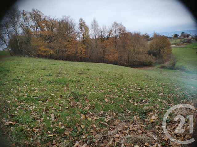 Afficher la photo en grand terrain à vendre - 3916.0 m2 - LANDORTHE - 31 - MIDI-PYRENEES - Century 21 Pyrénées Immo