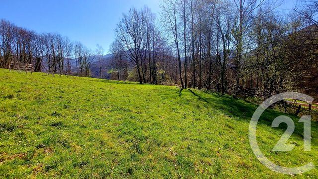 Afficher la photo en grand terrain à vendre - 2880.0 m2 - SENGOUAGNET - 31 - MIDI-PYRENEES - Century 21 Pyrénées Immo