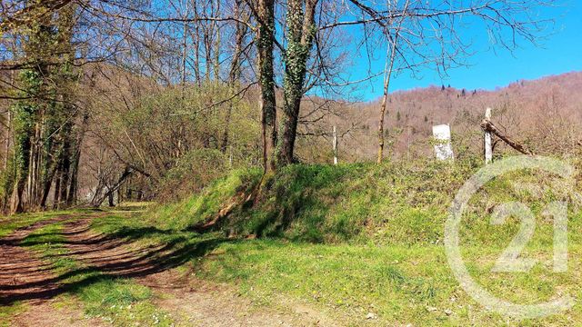 Afficher la photo en grand terrain à vendre - 2880.0 m2 - SENGOUAGNET - 31 - MIDI-PYRENEES - Century 21 Pyrénées Immo