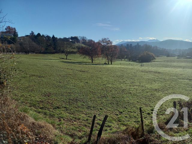 terrain à vendre - 25845.0 m2 - MONTREJEAU - 31 - MIDI-PYRENEES - Century 21 Pyrénées Immo