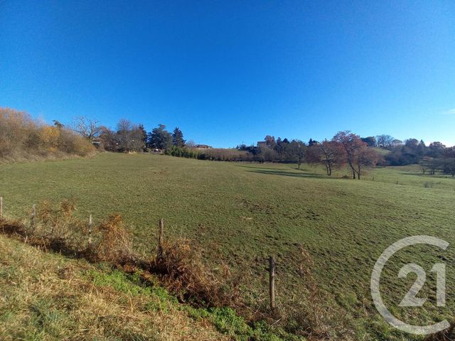 terrain à vendre - 25845.0 m2 - MONTREJEAU - 31 - MIDI-PYRENEES - Century 21 Pyrénées Immo