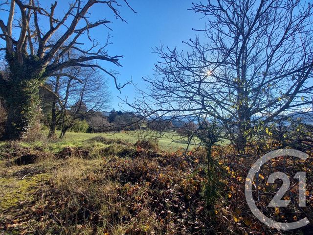 terrain à vendre - 25845.0 m2 - MONTREJEAU - 31 - MIDI-PYRENEES - Century 21 Pyrénées Immo