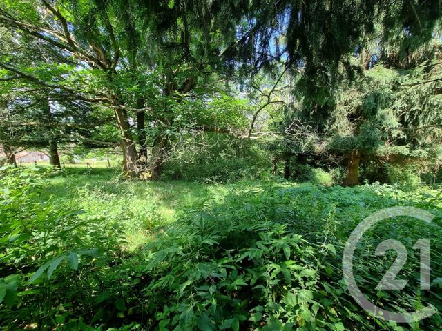 terrain à vendre - 2500.0 m2 - ENCAUSSE LES THERMES - 31 - MIDI-PYRENEES - Century 21 Pyrénées Immo