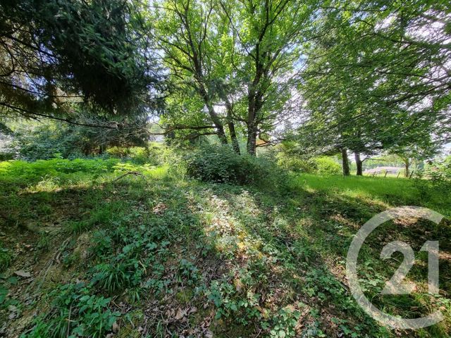 terrain à vendre - 2500.0 m2 - ENCAUSSE LES THERMES - 31 - MIDI-PYRENEES - Century 21 Pyrénées Immo