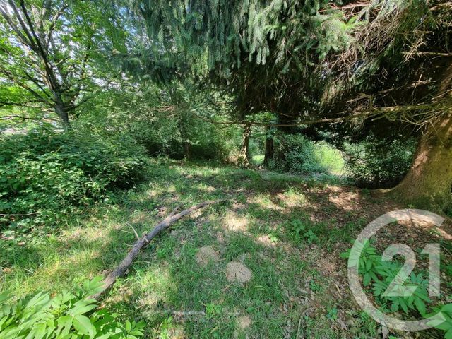 terrain à vendre - 2500.0 m2 - ENCAUSSE LES THERMES - 31 - MIDI-PYRENEES - Century 21 Pyrénées Immo