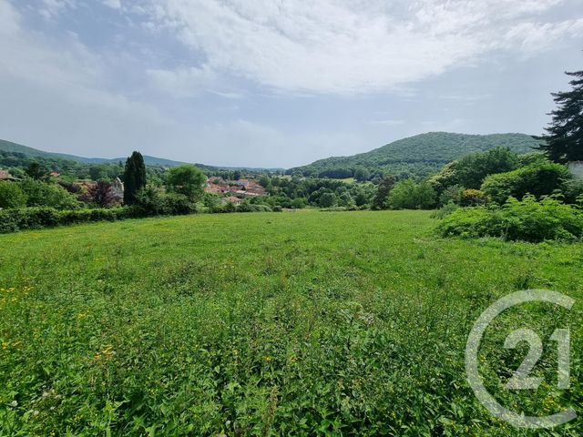 terrain à vendre - 2500.0 m2 - ENCAUSSE LES THERMES - 31 - MIDI-PYRENEES - Century 21 Pyrénées Immo