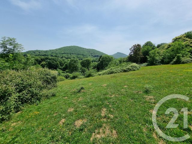 terrain à vendre - 2500.0 m2 - ENCAUSSE LES THERMES - 31 - MIDI-PYRENEES - Century 21 Pyrénées Immo