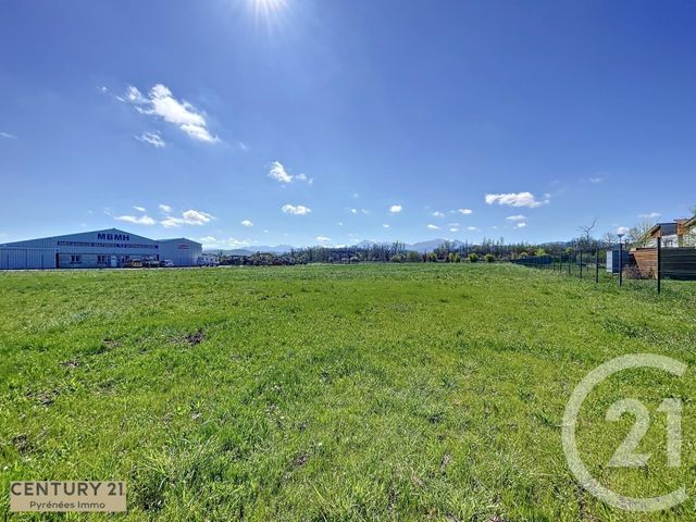 terrain - VILLENEUVE DE RIVIERE - 31