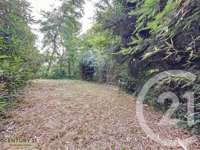 maison à vendre - 3 pièces - 85.0 m2 - ST GAUDENS - 31 - MIDI-PYRENEES - Century 21 Pyrénées Immo