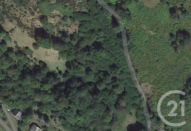 terrain à vendre - 6560.0 m2 - BOUTX - 31 - MIDI-PYRENEES - Century 21 Pyrénées Immo