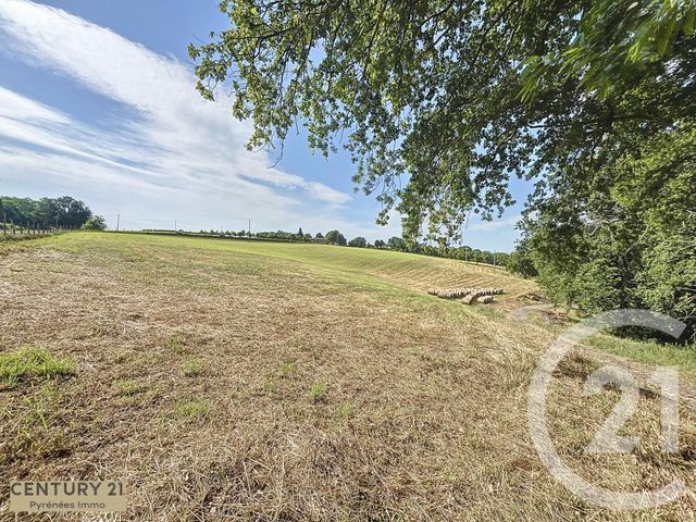 maison à vendre - 5 pièces - 258.0 m2 - LATOUE - 31 - MIDI-PYRENEES - Century 21 Pyrénées Immo