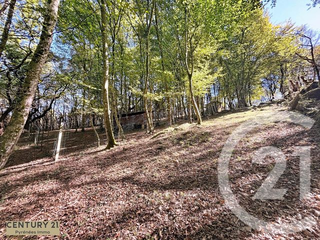 maison à vendre - 5 pièces - 168.0 m2 - ARBON - 31 - MIDI-PYRENEES - Century 21 Pyrénées Immo