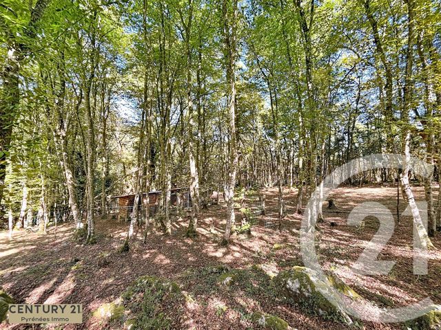 maison à vendre - 5 pièces - 168.0 m2 - ARBON - 31 - MIDI-PYRENEES - Century 21 Pyrénées Immo