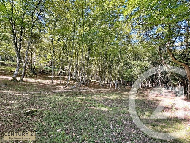 maison à vendre - 5 pièces - 168.0 m2 - ARBON - 31 - MIDI-PYRENEES - Century 21 Pyrénées Immo