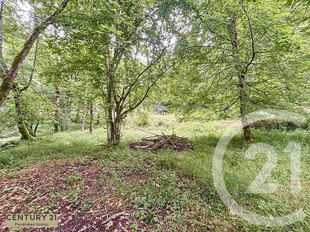 maison à vendre - 5 pièces - 78.91 m2 - BOUTX - 31 - MIDI-PYRENEES - Century 21 Pyrénées Immo