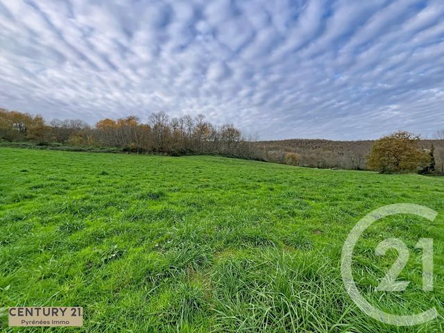 terrain à vendre - 40653.0 m2 - ENCAUSSE LES THERMES - 31 - MIDI-PYRENEES - Century 21 Pyrénées Immo