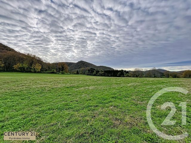 terrain à vendre - 40653.0 m2 - ENCAUSSE LES THERMES - 31 - MIDI-PYRENEES - Century 21 Pyrénées Immo