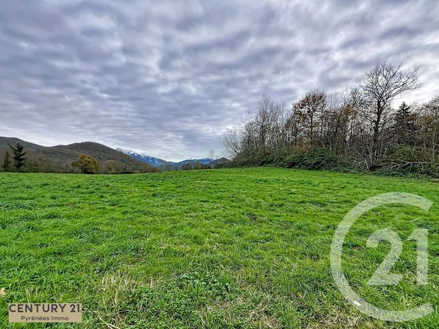 terrain à vendre - 40653.0 m2 - ENCAUSSE LES THERMES - 31 - MIDI-PYRENEES - Century 21 Pyrénées Immo