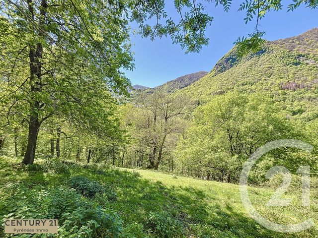 maison à vendre - 1 pièce - 25.0 m2 - CIERP GAUD - 31 - MIDI-PYRENEES - Century 21 Pyrénées Immo