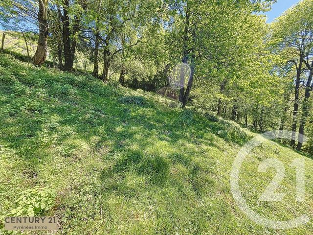 maison à vendre - 1 pièce - 25.0 m2 - CIERP GAUD - 31 - MIDI-PYRENEES - Century 21 Pyrénées Immo