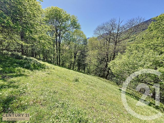 maison à vendre - 1 pièce - 25.0 m2 - CIERP GAUD - 31 - MIDI-PYRENEES - Century 21 Pyrénées Immo