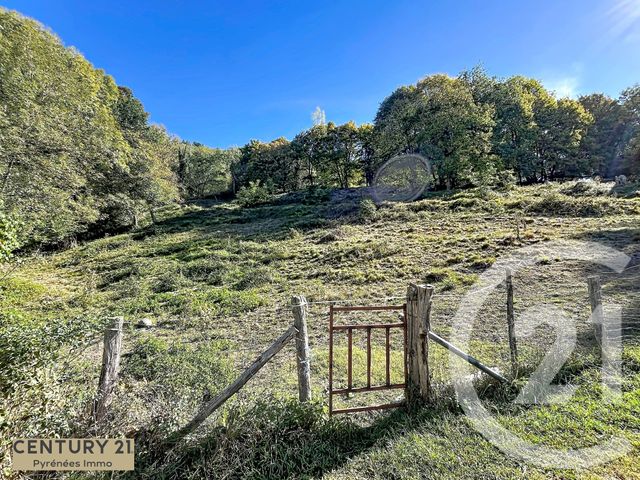 terrain à vendre - 3429.0 m2 - BEZINS GARRAUX - 31 - MIDI-PYRENEES - Century 21 Pyrénées Immo