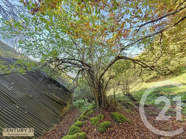 Afficher la photo en grand maison à vendre - 1 pièce - 40.0 m2 - ESBAREICH - 65 - MIDI-PYRENEES - Century 21 Pyrénées Immo