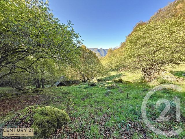 Afficher la photo en grand maison à vendre - 1 pièce - 40.0 m2 - ESBAREICH - 65 - MIDI-PYRENEES - Century 21 Pyrénées Immo