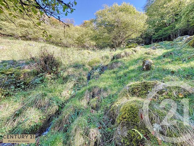 Afficher la photo en grand maison à vendre - 1 pièce - 40.0 m2 - ESBAREICH - 65 - MIDI-PYRENEES - Century 21 Pyrénées Immo