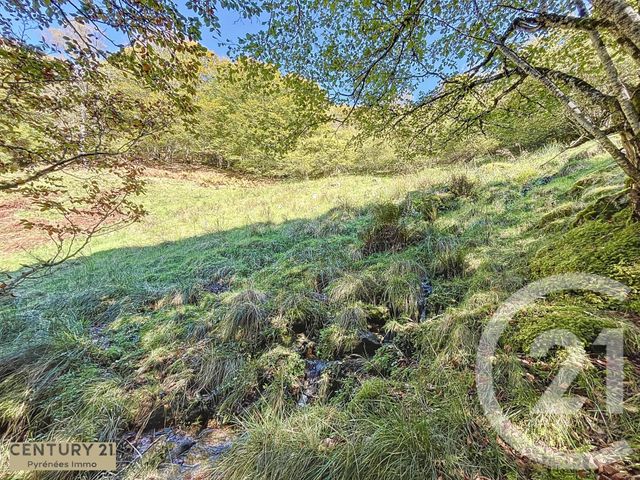 Afficher la photo en grand maison à vendre - 1 pièce - 40.0 m2 - ESBAREICH - 65 - MIDI-PYRENEES - Century 21 Pyrénées Immo