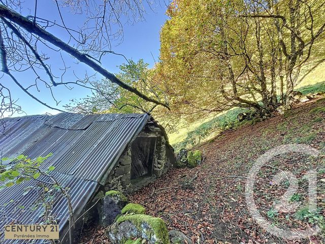 Afficher la photo en grand maison à vendre - 1 pièce - 40.0 m2 - ESBAREICH - 65 - MIDI-PYRENEES - Century 21 Pyrénées Immo