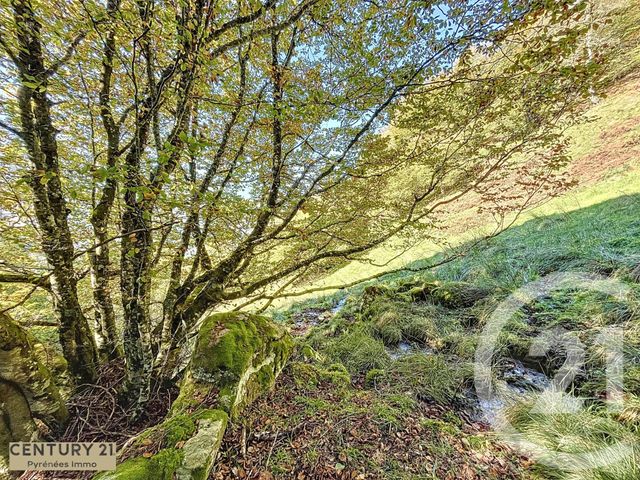 Afficher la photo en grand maison à vendre - 1 pièce - 40.0 m2 - ESBAREICH - 65 - MIDI-PYRENEES - Century 21 Pyrénées Immo