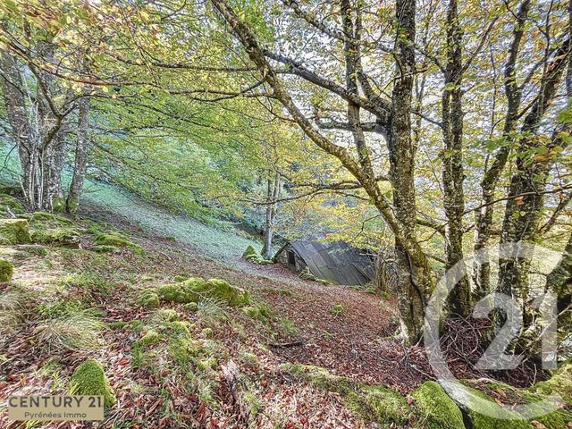 Afficher la photo en grand maison à vendre - 1 pièce - 40.0 m2 - ESBAREICH - 65 - MIDI-PYRENEES - Century 21 Pyrénées Immo