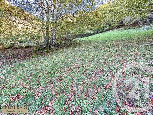 Afficher la photo en grand maison à vendre - 1 pièce - 40.0 m2 - ESBAREICH - 65 - MIDI-PYRENEES - Century 21 Pyrénées Immo