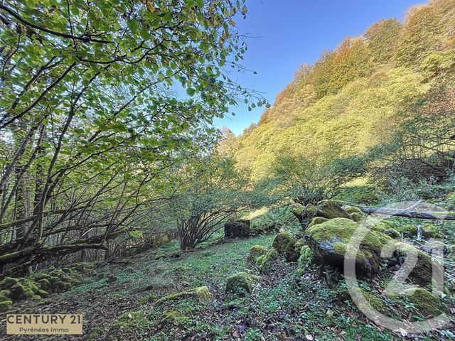 Afficher la photo en grand maison à vendre - 1 pièce - 40.0 m2 - ESBAREICH - 65 - MIDI-PYRENEES - Century 21 Pyrénées Immo