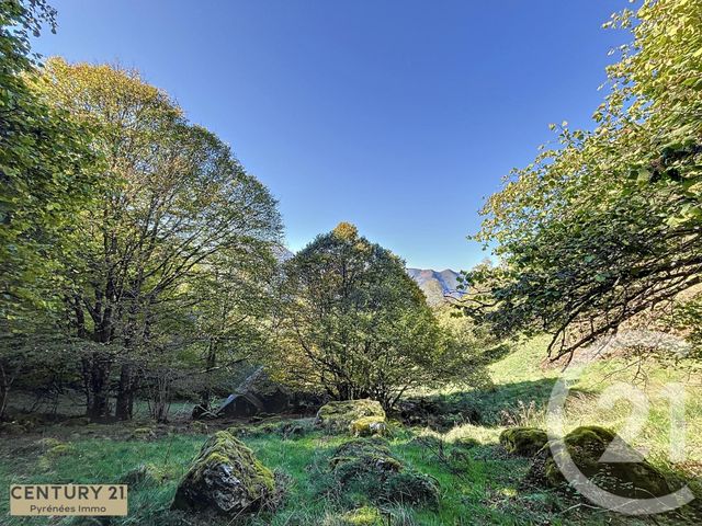 Afficher la photo en grand maison à vendre - 1 pièce - 40.0 m2 - ESBAREICH - 65 - MIDI-PYRENEES - Century 21 Pyrénées Immo