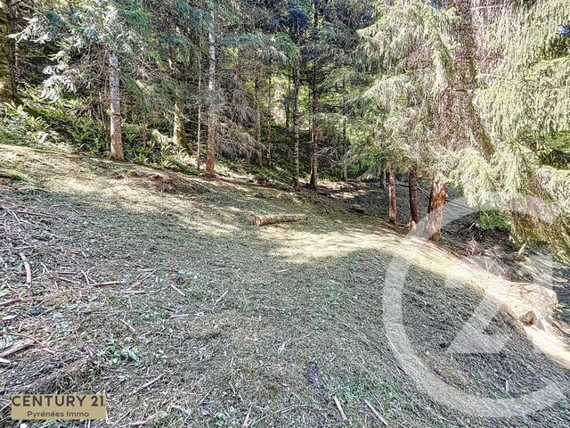 maison à vendre - 6 pièces - 107.18 m2 - ARLOS - 31 - MIDI-PYRENEES - Century 21 Pyrénées Immo