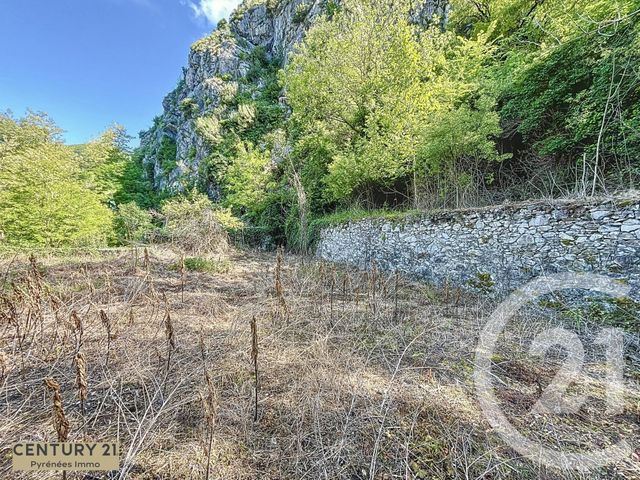 maison à vendre - 30 pièces - 303.0 m2 - ST BEAT LEZ - 31 - MIDI-PYRENEES - Century 21 Pyrénées Immo