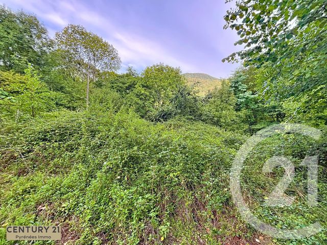 Afficher la photo en grand terrain à vendre - 1395.0 m2 - BURGALAYS - 31 - MIDI-PYRENEES - Century 21 Pyrénées Immo