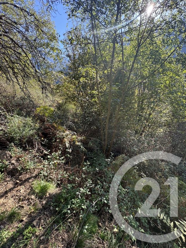 terrain à vendre - 320.0 m2 - MELLES - 31 - MIDI-PYRENEES - Century 21 Pyrénées Immo